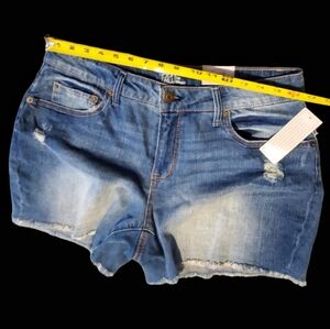 NWT-Time and Tru Sretch Denim Shorts. Size 14.